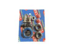 KIT RICAMBI LISAM P3000 PER ABBACCHIATORE V8 V8EVO V8TURBO V8CARBON MGTURBO
