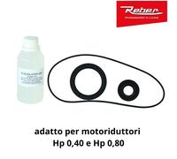 Kit ricambio ingranaggio motoriduttore spremipomodoro tritacarne palumbo 1002
