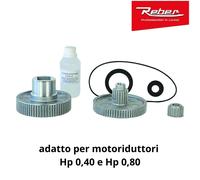 Kit ricambio ingranaggio motoriduttore spremipomodoro tritacarne reber 1004