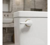 Kit Ricambio Pulsante per wc per montaggio per anteriore Braccio Alluminio