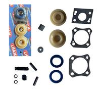 KIT RICAMBIO RICAMBI PER ABBACCHIATORE PNEUMATICO PETTINE FLASH P. MG V7 LISAM