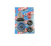 KIT RICAMBIO RICAMBI PER ABBACCHIATORE PNEUMATICO PETTINE V8 LISAM