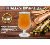 KIT RICETTA BIRRA ARTIGIANALE FATTA IN CASA E+G BELGIAN STRONG ALE (20 LT.)