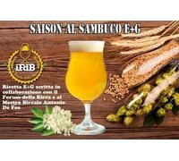 KIT RICETTA BIRRA ARTIGIANALE FATTA IN CASA E+G SAISON FIORI DI SAMBUCO (20 LT)