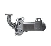 Kit Rimozione Valvola EGR Per Nissan Per Cabstar Per Navara NP300 D40 Per Pathfinder R51 YD25 14735-5X00A 147355X00A 14735-5X00B 147355X00B Raffreddatore EGR Valvola