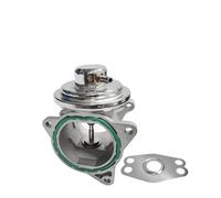 Kit Rimozione Valvola EGR Per Seat Per Leon Per TDI 2002-2011 2012 2013 2014 2015 038131501AF 038131501AN 038131501S 724809160 038129637D 7.24809.16 038131501K VALVOLA EGR