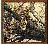 Kit Riolis RI-937 Ricamo Punto Croce a Leopard Multicolor