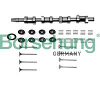 Kit riparazione, Albero intermedio B17129 Borsehung