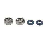Athena Kit Di Cuscinetti E Paraoli Per Albero Motore Kawasaki Kx65 00-21/85 01-21/100 98-13