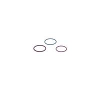 Kit riparazione BOSCH F00VX99998