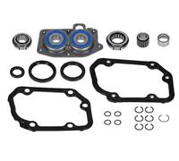 Cuscinetto, cambio manuale INA 462 0055 10