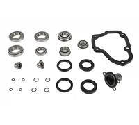 Kit riparazione cambio 462 0156 10 LuK per VW SEAT