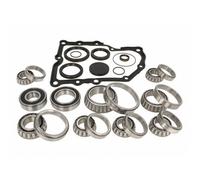 KIT RIPARAZIONE CAMBIO DSG INA PER VW AUDI 462005710