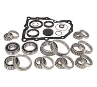 KIT RIPARAZIONE CAMBIO DSG INA PER VW AUDI 462005710
