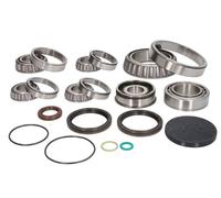 KIT RIPARAZIONE CAMBIO INA 462019810