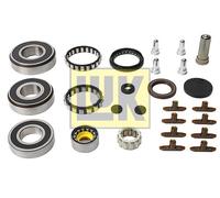 LuK Kit riparazione cambio manuale 462 0204 10 per Ford