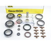 KIT RIPARAZIONE CUSCINETTI CAMBIO PER FOTD TRANSIT 2.4 TDi 04 MT82 6V. 462020410