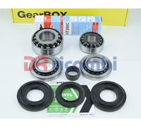 KIT RIPARAZIONE CUSCINETTI DIFFERENZIAL PER BMW Serie 5 F10 520 TURING 462021510