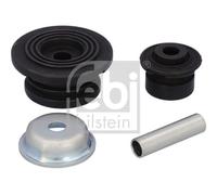 Kit riparazione, Cuscinetto ammortizzatore a molla Assale posteriore Sx per MITS