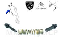 Kit Riparazione Frizione Molla Ritorno Pedale Per Peugeot Expert 807 Jumpy C8