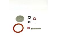 Kit riparazione gruppo birra Saeco Odea, Talea, Primea, Xsmall - 8 pezzi