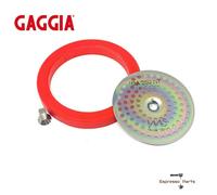 Kit Riparazione Gruppo Gaggia IMS Nano Quartz Doccia Schermo, Guarnizione Sil...