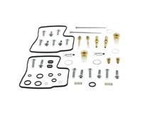 Kit riparazione iniettore 26-1617 ALL BALLS