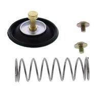 Kit Di Riparazione Valvola Di Chiusura Ad Aria All Balls 46-4041