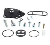 Kit riparazione iniettore 60-1131 ALL BALLS