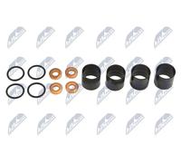 NTY Kit riparazione, Iniettore compatibile con RENAULT BWP-PL-005