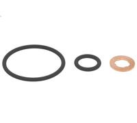 Kit riparazione, Iniettore DT SPARE PARTS 1.31250 per SCANIA P I 9.291 2004-2019