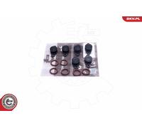 Kit di riparazione BMW M57