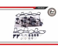 Kit riparazione, modulo collettore aspirazione 49SKV500 ESEN SKV per AUDI VW