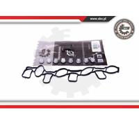 Kit riparazione, modulo collettore aspirazione 49SKV511 ESEN SKV per AUDI SKODA