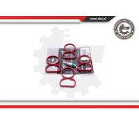 Kit riparazione, modulo collettore aspirazione 49SKV513 ESEN SKV per BMW 1 3 X1