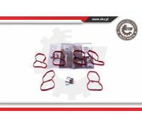 Riparazione,Modulo Collettore Aspirazione Skv per BMW E90 E91 E92 E93 F07 Gt F10