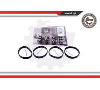ESEN SKV Kit riparazione modulo collettore aspirazione 49SKV518 0.21