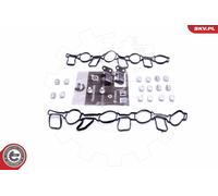 Kit riparazione, modulo collettore aspirazione 49SKV519