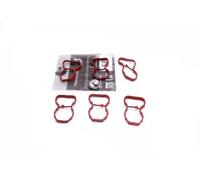 ESEN SKV Kit riparazione modulo collettore aspirazione 49SKV520 per BMW 7 5 X5