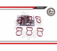 Kit riparazione, modulo collettore aspirazione 49SKV520 ESEN SKV per BMW 7 5 X5