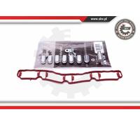 Kit riparazione, modulo collettore aspirazione 49SKV521 ESEN SKV per SKODA AUDI