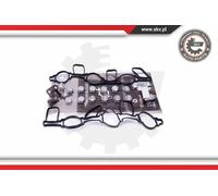 Kit riparazione, modulo collettore aspirazione 49SKV523 ESEN SKV per AUDI VW