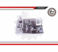 Kit riparazione, modulo collettore aspirazione 49SKV530 ESEN SKV per OPEL SAAB