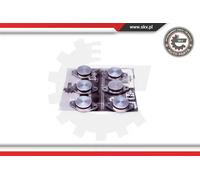 Kit di Riparazione,Modulo Collettore Aspirazione Skv per BMW 3er 5er 7er X3 X5