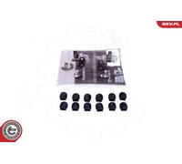 Kit riparazione, modulo collettore aspirazione 49SKV543