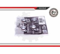 Kit riparazione, modulo collettore aspirazione 49SKV544 ESEN SKV per BMW 1 3 X3