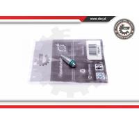 Kit riparazione, modulo collettore aspirazione 49SKV548 ESEN SKV per BMW 3 X3 X1