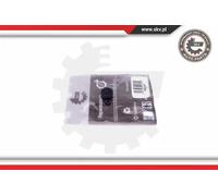 Kit riparazione, modulo collettore aspirazione 49SKV557 ESEN SKV per BMW 5 3 X5