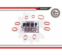 Kit riparazione, modulo collettore aspirazione 49SKV561 ESEN SKV