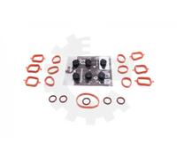 ESEN SKV Kit riparazione modulo collettore aspirazione 49SKV562